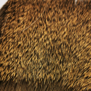 Natural Brown