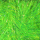 Chartreuse