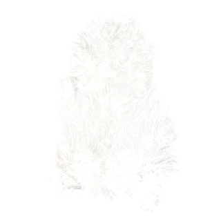 Coq de Leon pure White
