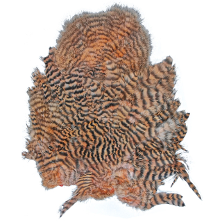 dyed salmon grizzly